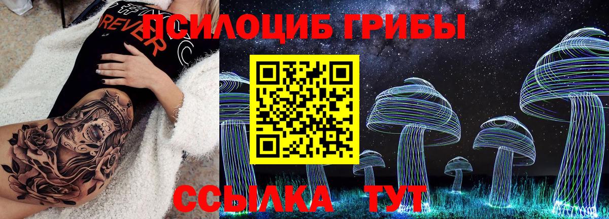 Галлюциногенные грибы GOLDEN TEACHER  Вход с VPN  Пенза 